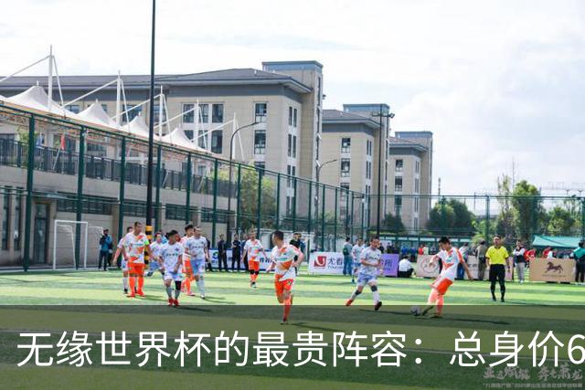 无缘世界杯的最贵阵容：总身价6.7亿 意大利5人